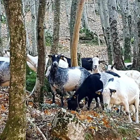 Entorno Unico En Paraje Natural Impresionante *